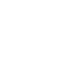Natural Language Processing